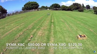 Top 5 Best Drones With Camera You Can Buy (Under $100) 2016