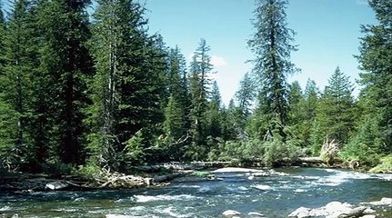 Theme from The Deer Hunter