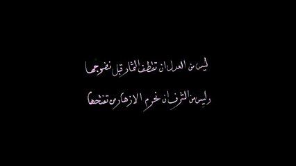 Fnaïre - Chayeb (Exclusive Music Video) I (فناير - الشايب (فيديو كليب حصري - YouTube