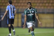 Eletrizante! Palmeiras vence o Grêmio em jogo emocionante no Pacaembu