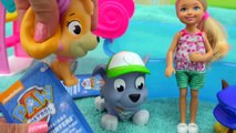 Orbeez Pool Party with Barbie   Paw Patrol Water Squirter Puppies   Cookieswirlc Video