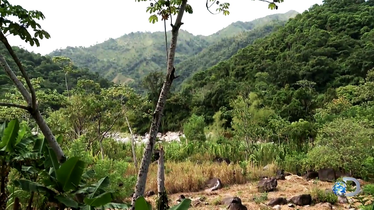 Get Ready for a Big Blur | Naked and Afraid