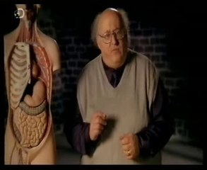 Fisiologia de la digestion: W. Beaumont (Alexis St. Martin)