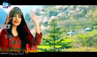 Zama Janan Der Bewafa De Gul Panra Hashmat Sahar - Pashto Hits Vol 5