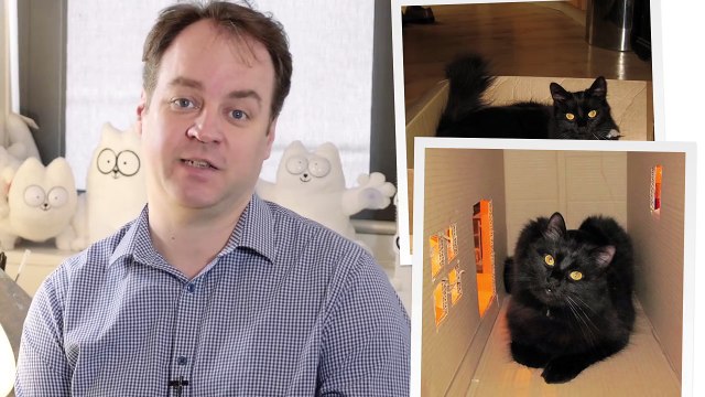 Simon's Cat Logic - Why Do Cats Love Boxes-!