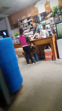 Elle devient hystérique à cause d'un poisson mort après achat en animalerie