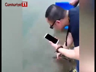 Bu balığı gören telefona sarıldı