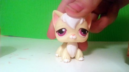 Neden Video Gelmiyor ? Ve Yeni Eski Minişim