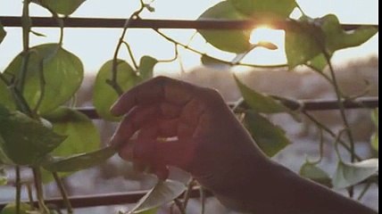 Dave B- “Worth It“ (Official Video)