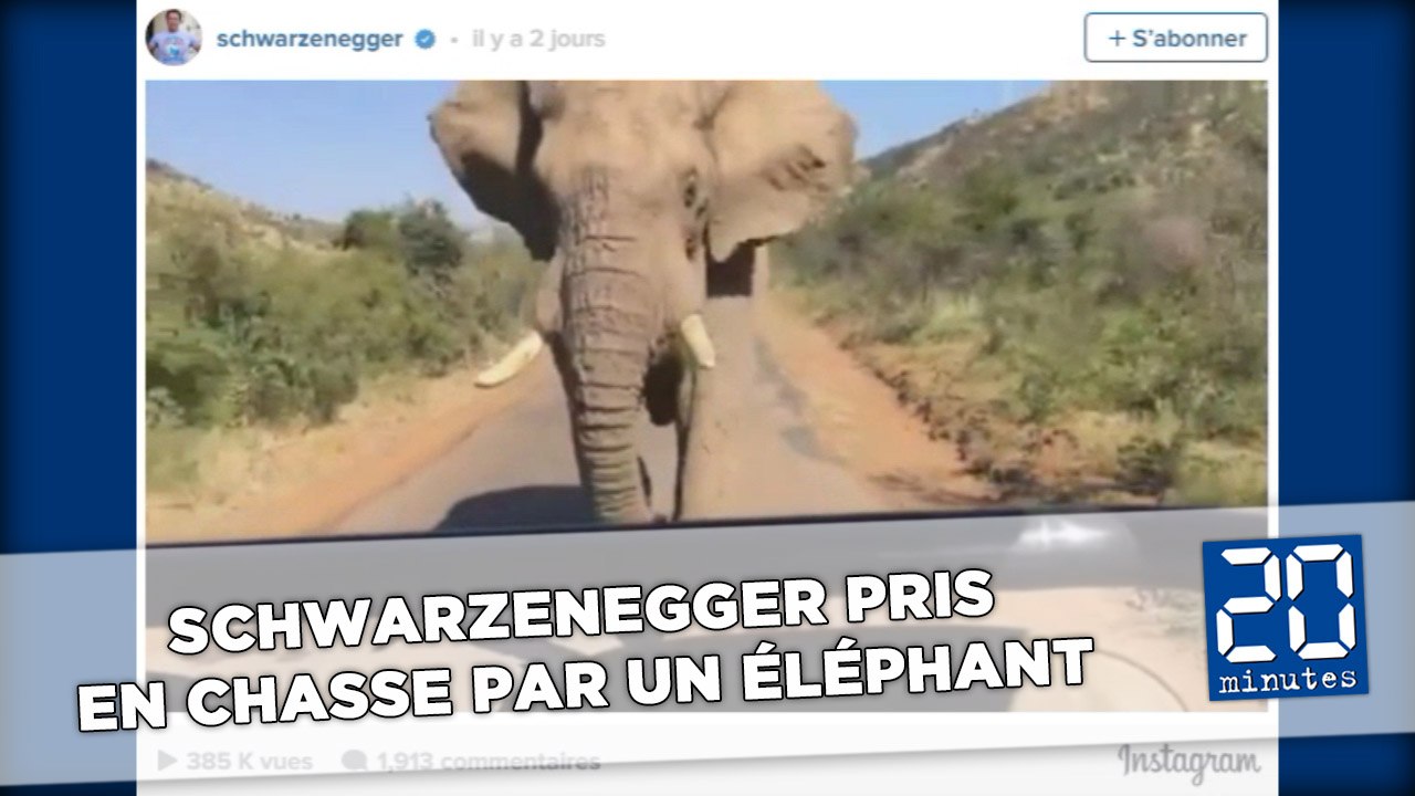 Arnold Schwarzenegger se fait prendre en chasse par un éléphant
