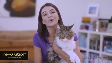 Revolution for Cats - Dr Katrina Warren and Mr Fox