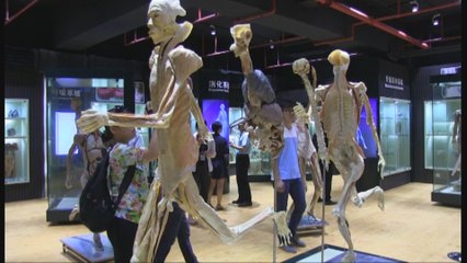 Ciudad del sur de China expone cadáveres reales en un mueso de anatomía