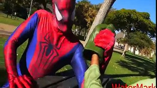 Spider-Woman vs Venom vs Hulk   Iron Arm Challenge