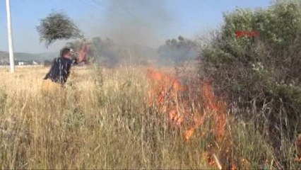 Kınık'ta Yangın Tarım Arazilerine Zarar Verdi