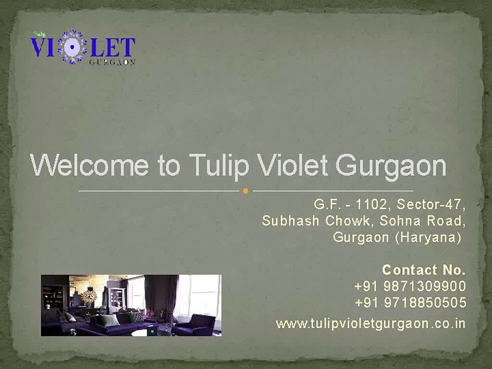 Tulip In Gurgaon | Tulip Violet Sohna Road - Tulipvioletgurgaon.co.in