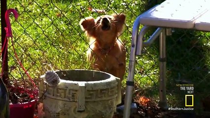 Southern Justice S03E07 Truth or Consequences