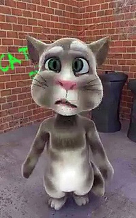 funny talking tom cat