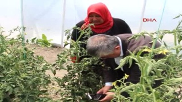 Burdur Çocuklarının Eğitimine Katkı İçin Sera Kurup Üretime Başladı