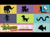 Aprende Los Nombres De Los Animales - Los Sonidos De Los Animales - BASHO & FRIENDS