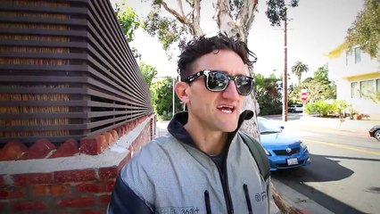 TOY POODLE FENDS OFF AGGRESSIVE MAN