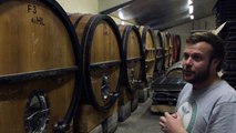In the barrel cellar discussing good vintages with Cedric Gravier from Domaine La Suffrene