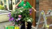 How to Put up a Hanging Basket Bracket