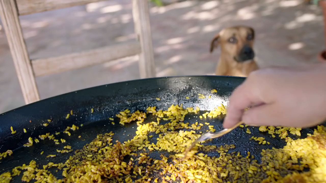 Orgull de ser valencians