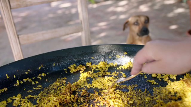 Orgull de ser valencians