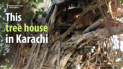 Meet the man who’s been living on a tree in Karachi for 18 years