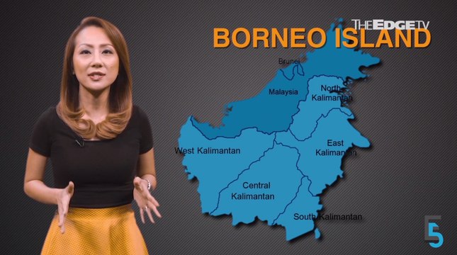 EVENING 5: Petronas plant gets Japanese investor