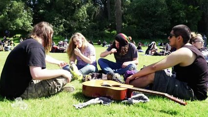 Les dernières avancées du cannabis en Californie (RTS, 2016) (FR)