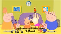 peppa pig - família dos dedos /finger family