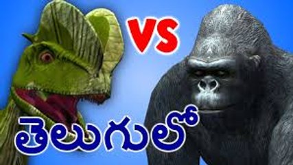 Exciting Gorilla vs. Bull Man | Best English Nursery Rhymes in Telugu 🐒🐂