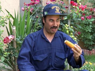 Ghum Makawa Promo by Ismail Momand