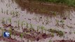 Loiret: les agriculteurs durement touchés par les inondations
