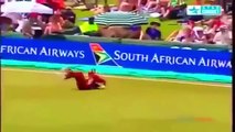 Top Catches in Cricket History  - Cricket Catches - Cricket Highlights 2016
