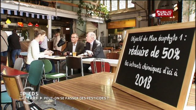 Peut-on se passer des pesticides ? - Les Pieds Sur Terre (extrait)