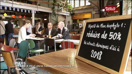 Peut-on se passer des pesticides ? - Les Pieds Sur Terre (extrait)