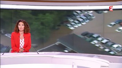 Regardez les images impressionantes du survol des zones inondées en Ile-de-France