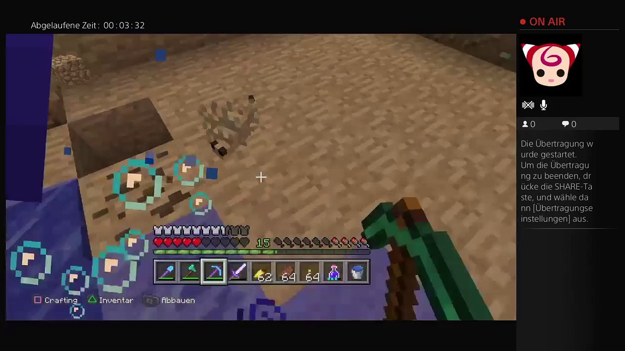 Minecraft (3)
