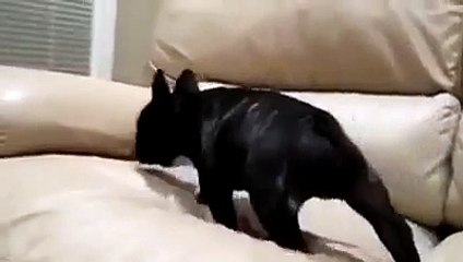 И где тут место лучше! Пожалуйста, поделитесь