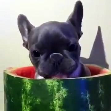 Очень! Очень вкусно! Поделитесь, пожалуйста ....