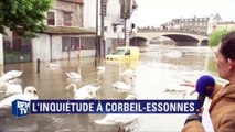 A Corbeil-Essonnes, des cygnes occupent un parking inondé