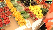 Un salon pour faire briller les agricultures des Bouches-du-Rhône