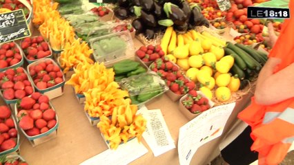 Un salon pour faire briller les agricultures des Bouches-du-Rhône
