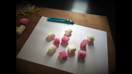 Artist Creates a Unicorn Using Marshamallows