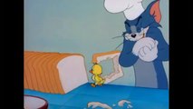 Tom and Jerry - Episode 47 - Little Quacker (1950)