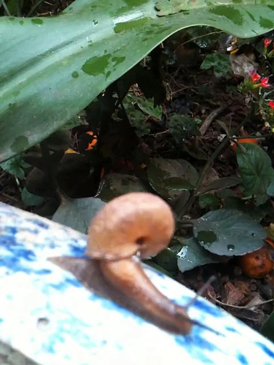 evaporative cooler Review