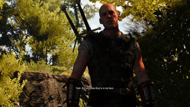 The Witcher 3: Witcher vs Witcher