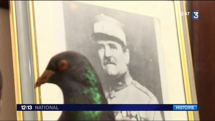 Verdun : Vaillant, le pigeon de combat